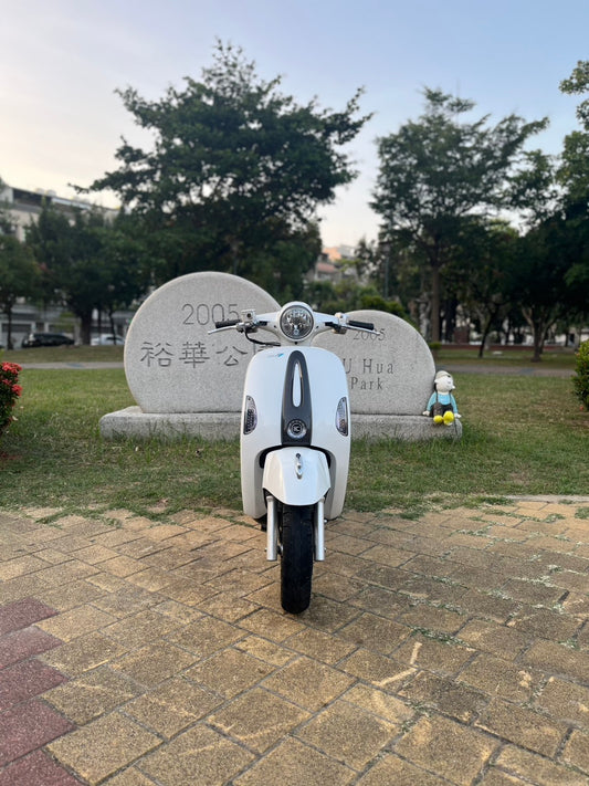 |MANY| 2020 110 110 #7156 - 圖片 2