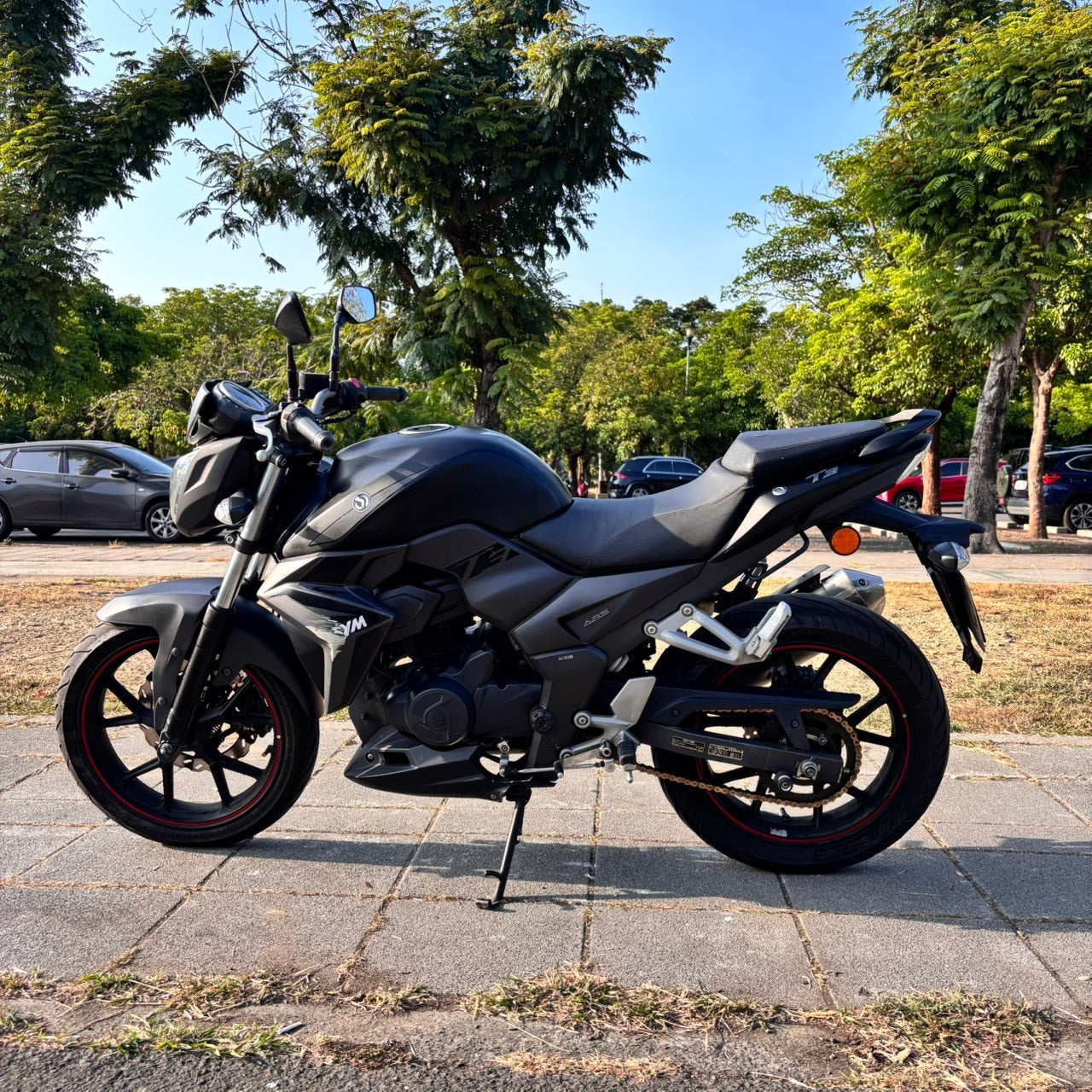 |高雄店| 2014 三陽 T3 278 ABS #6310 - 圖片 5